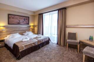 Апарт-отели Hotel & SPA Czarny Groń Жики Двухместный номер с 1 кроватью или 2 отдельными кроватями-2